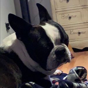 Meet your Posher, Robert